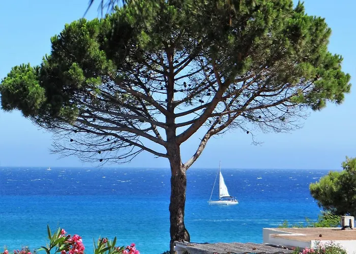Sant Ambroggio Apartment Lumio (Corsica)
