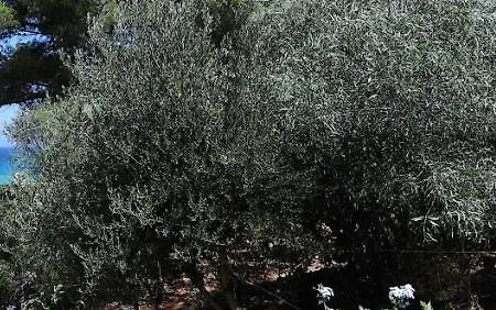 Sant Ambroggio 아파트 *