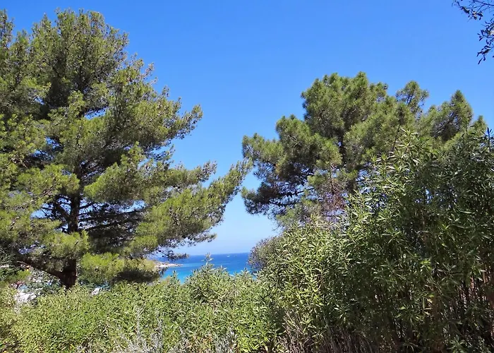 Sant Ambroggio Lejlighed Lumio (Corsica)